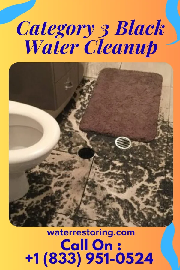 Category 3 Black Water Cleanup in Strum, WI