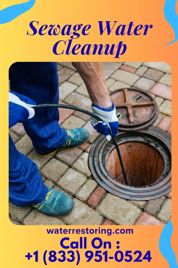 Sewage Water Cleanup in Strum, WI